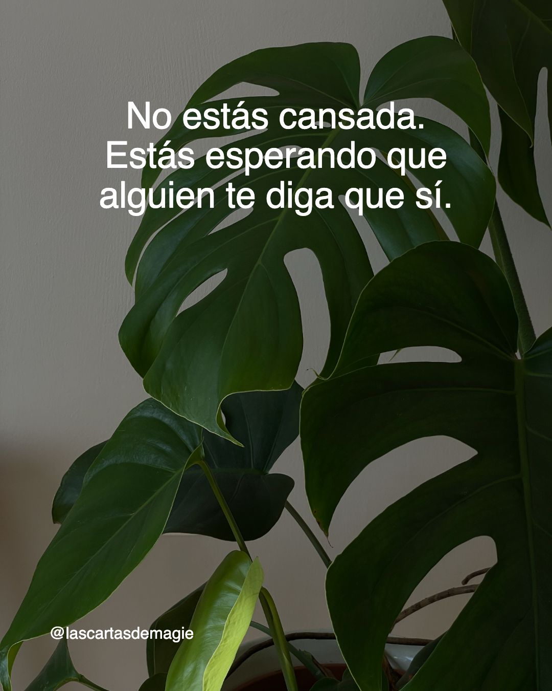 No estás cansada. Estás esperando que alguien te diga que sí. - Las Cartas de Magie