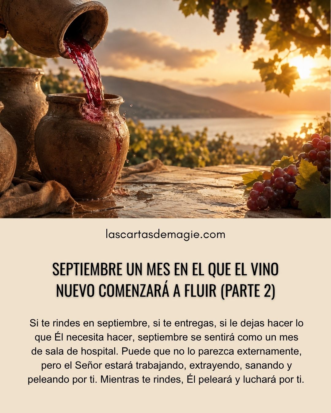 Septiembre, el mes en que el vino nuevo comenzará a fluir (Parte 2) - Las Cartas de Magie