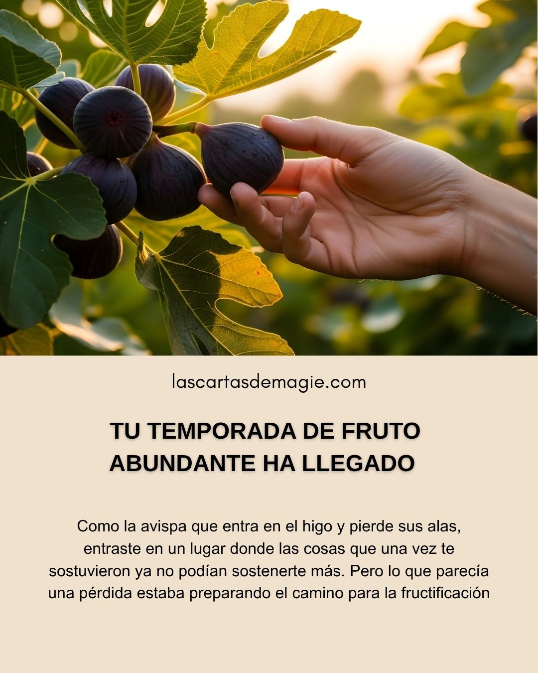 Tu temporada de fruto abundante ha llegado - Las Cartas de Magie