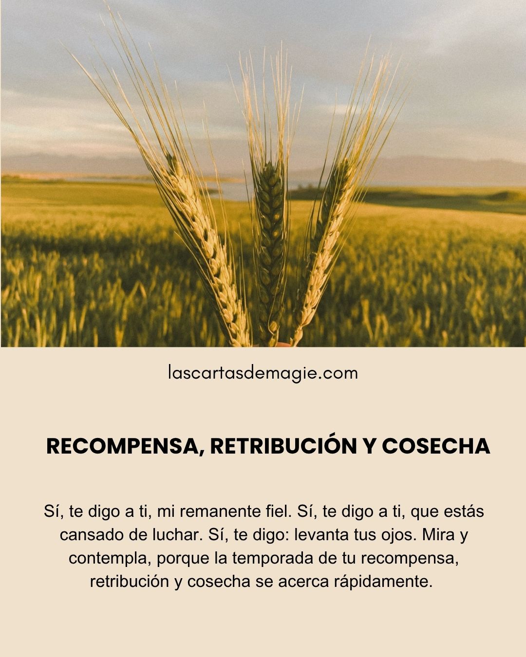 LAS CARTAS DE MAGIE Posts (5)