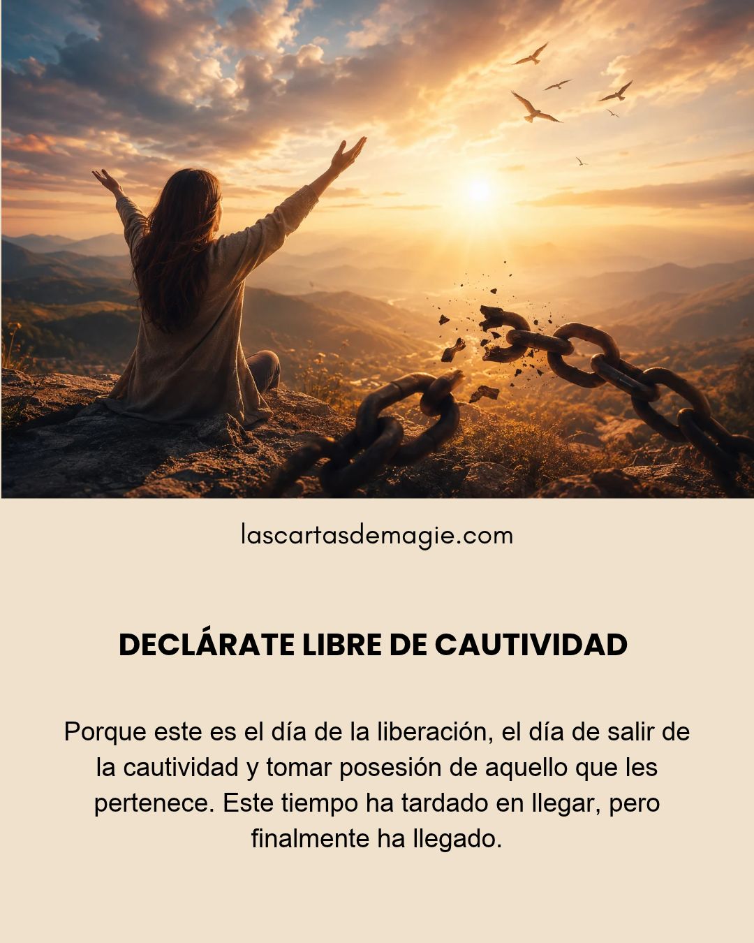 LAS CARTAS DE MAGIE Posts (17)