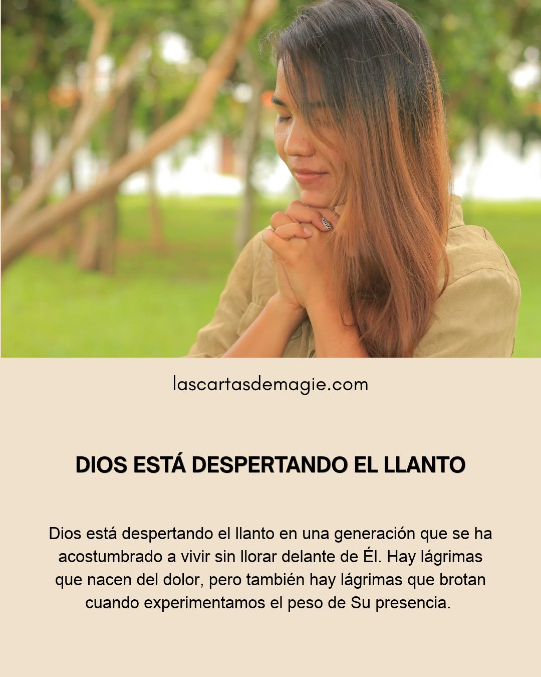 LAS CARTAS DE MAGIE Posts (19)