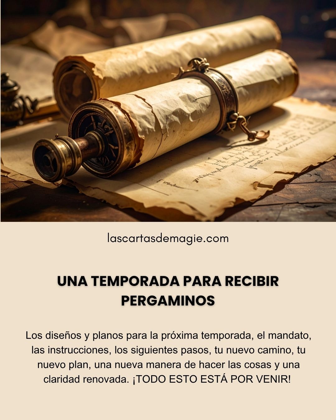LAS CARTAS DE MAGIE Posts (2)