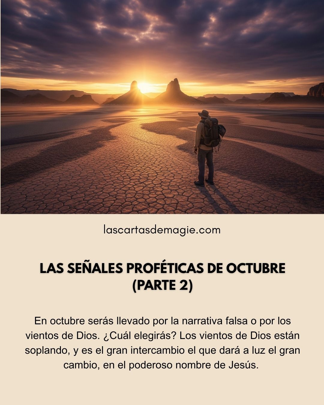 LAS CARTAS DE MAGIE Posts (1)