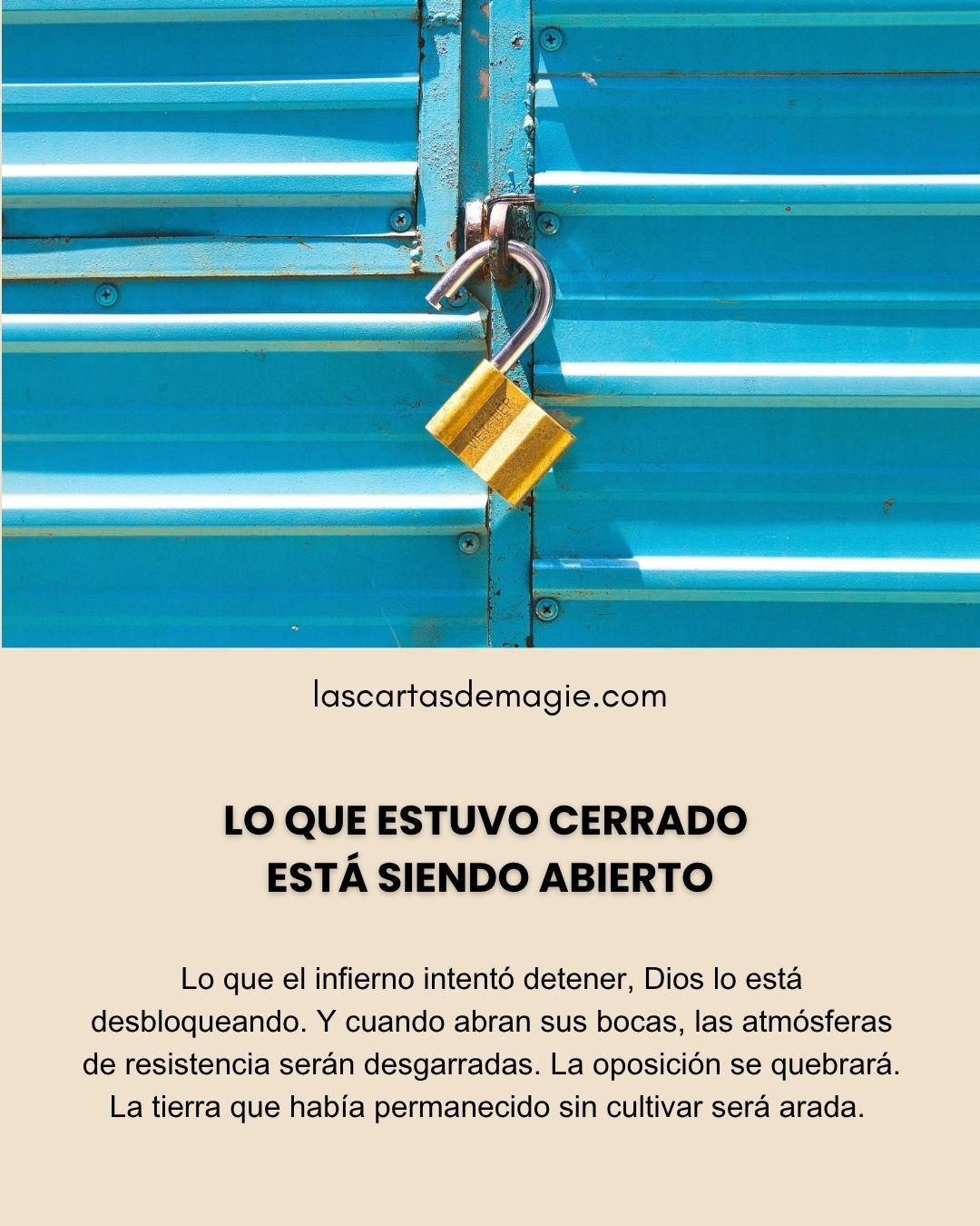 LAS CARTAS DE MAGIE Posts (1)