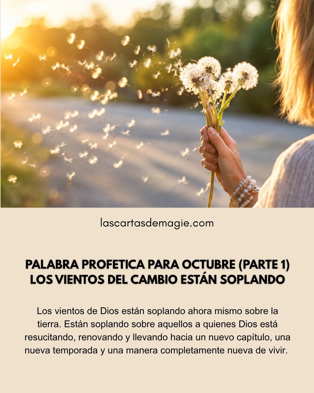 LAS CARTAS DE MAGIE Posts