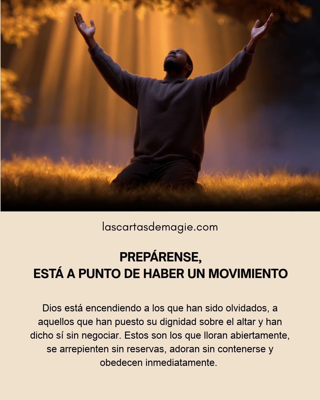 LAS CARTAS DE MAGIE Posts (21)