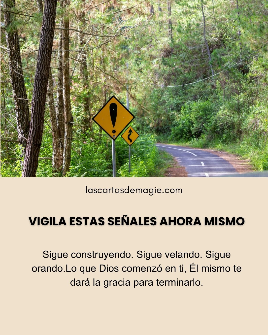 LAS CARTAS DE MAGIE Posts (2)